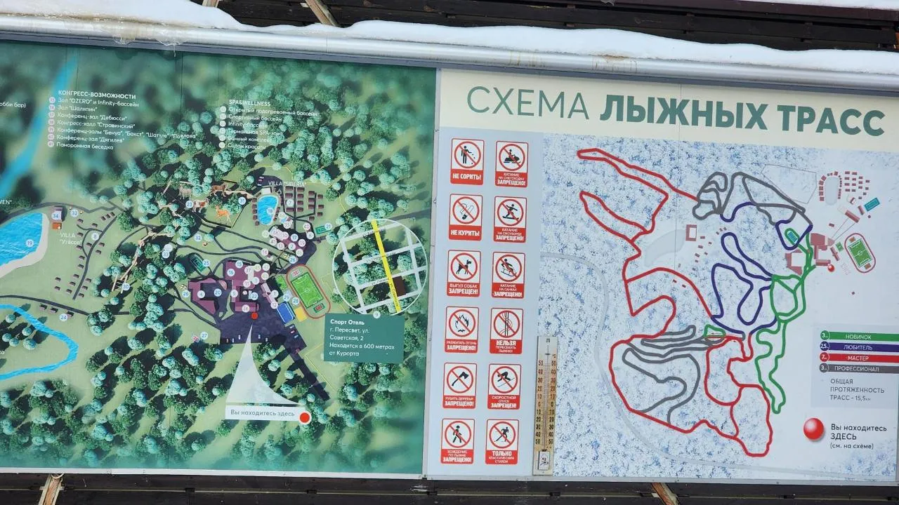 REGIONS/Елена Шумакова