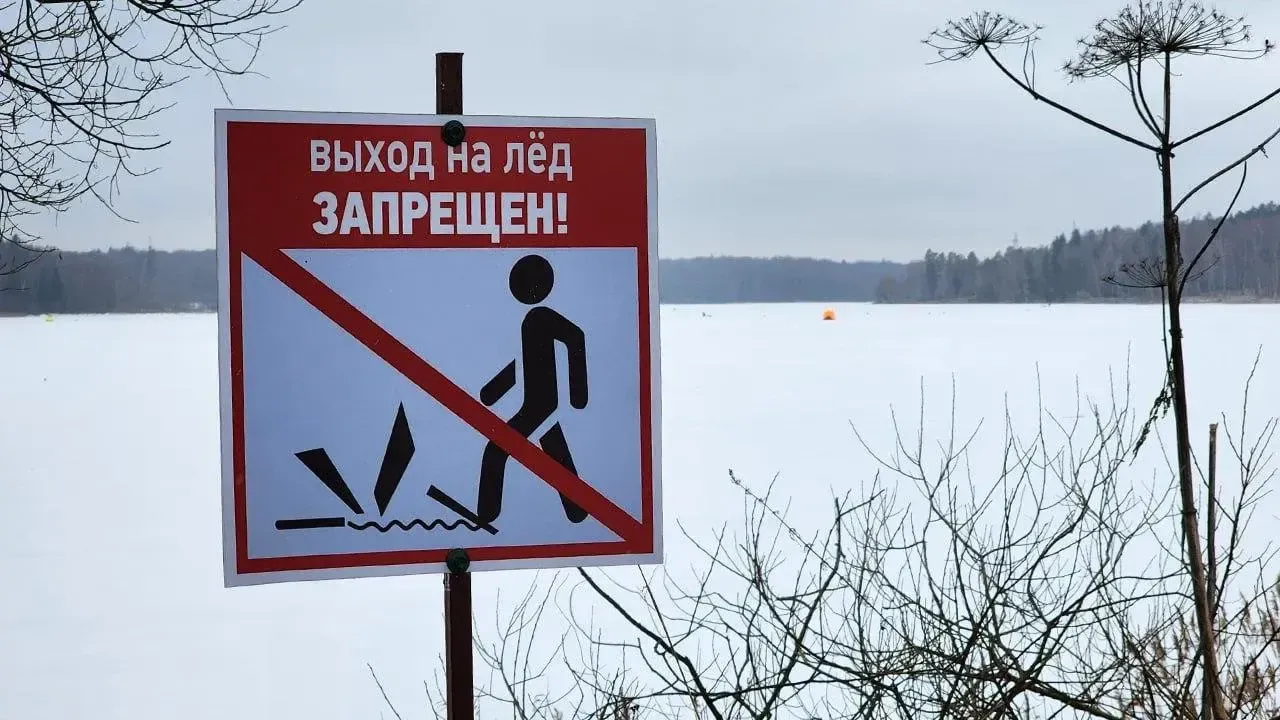 МедиаБанк Подмосковья/Екатерина Данилина