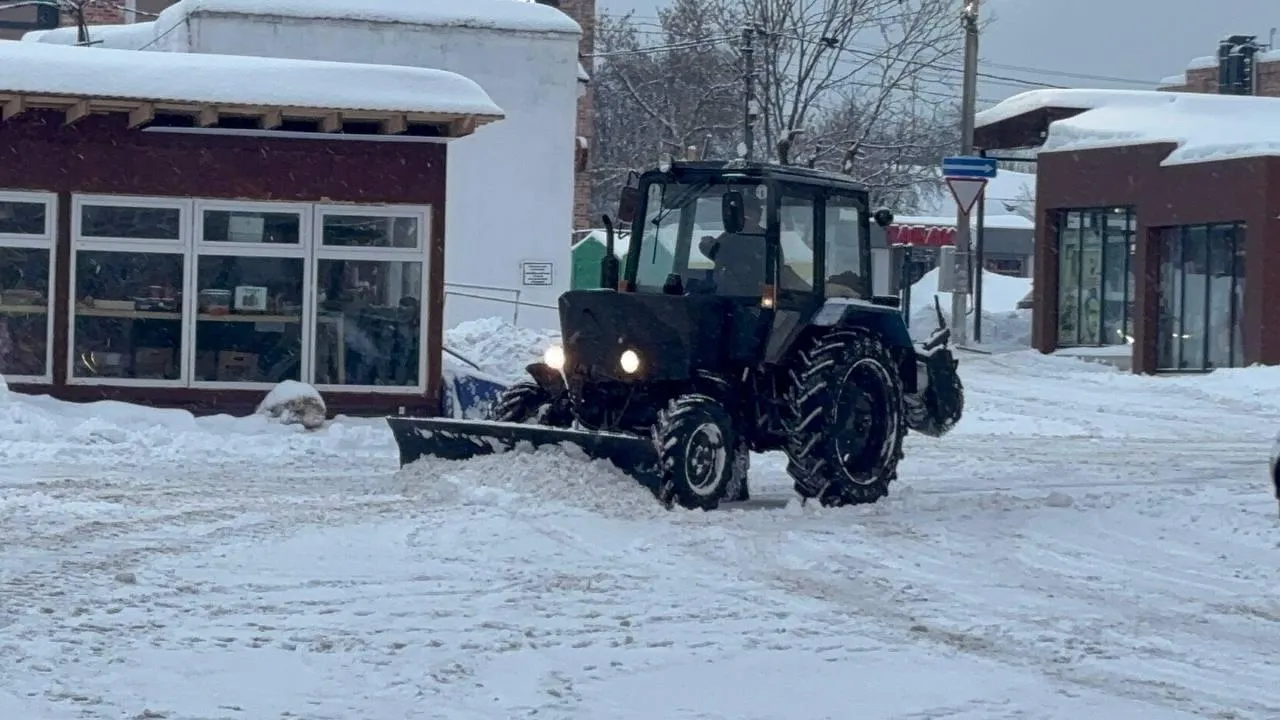 МедиаБанк Подмосковья/Екатерина Морозова
