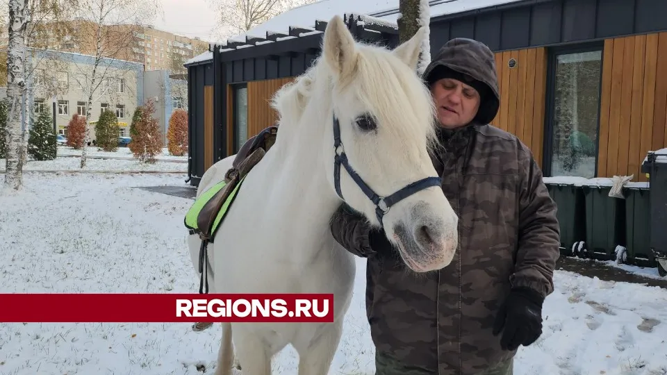 Фото: Юлия Смагринская