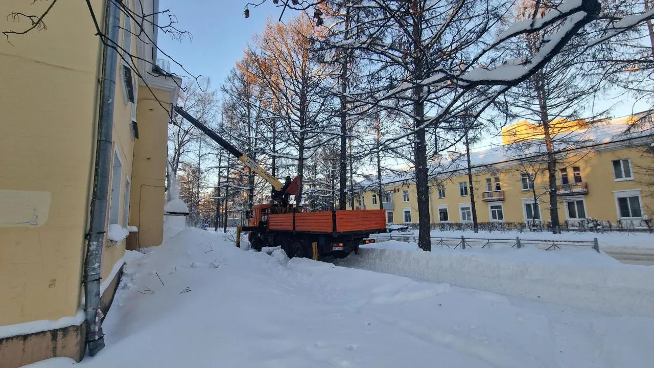 REGIONS/Полина Пахомова