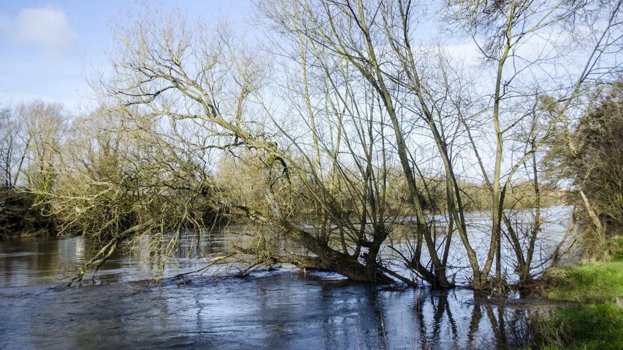 Фото: pxhere.com