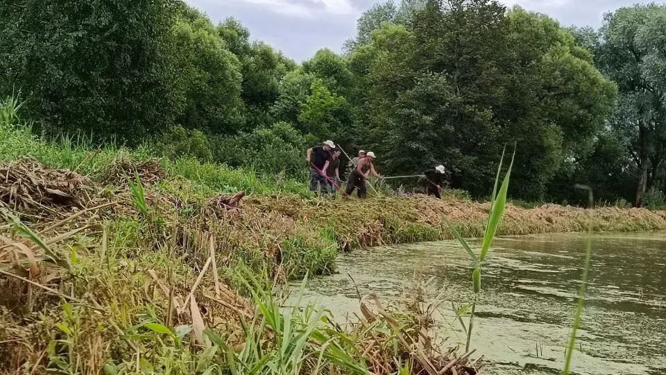 Фото: МедиаБанк Подмосковья/Яна Шаливская