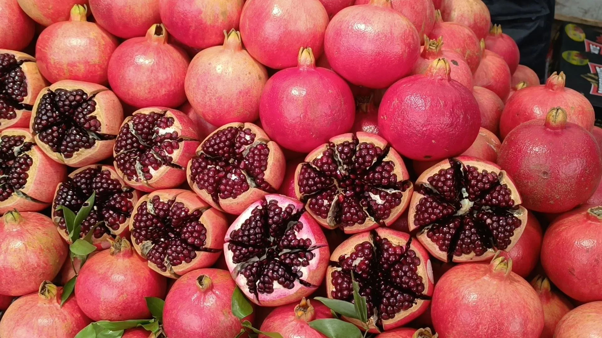 МедиаБанк Подмосковья/Екатерина Федосеева