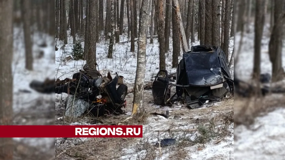 Фото: REGIONS/Василий Тремасов