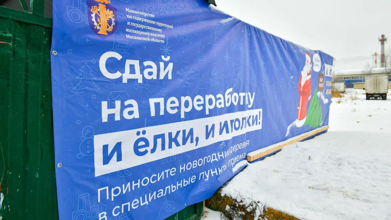 МедиаБанк Подмосковья/Максим Сафронов