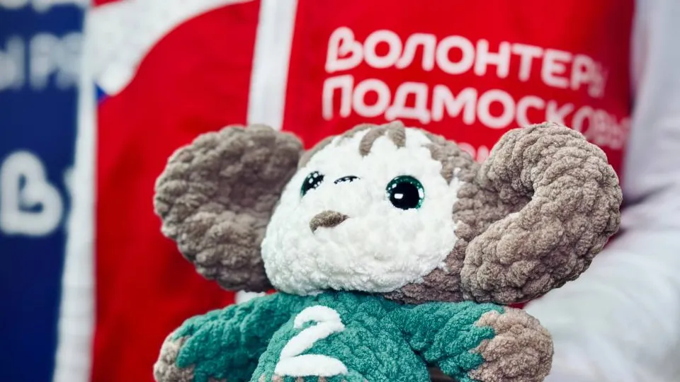 Фото: t.me/mmcmozhaisk