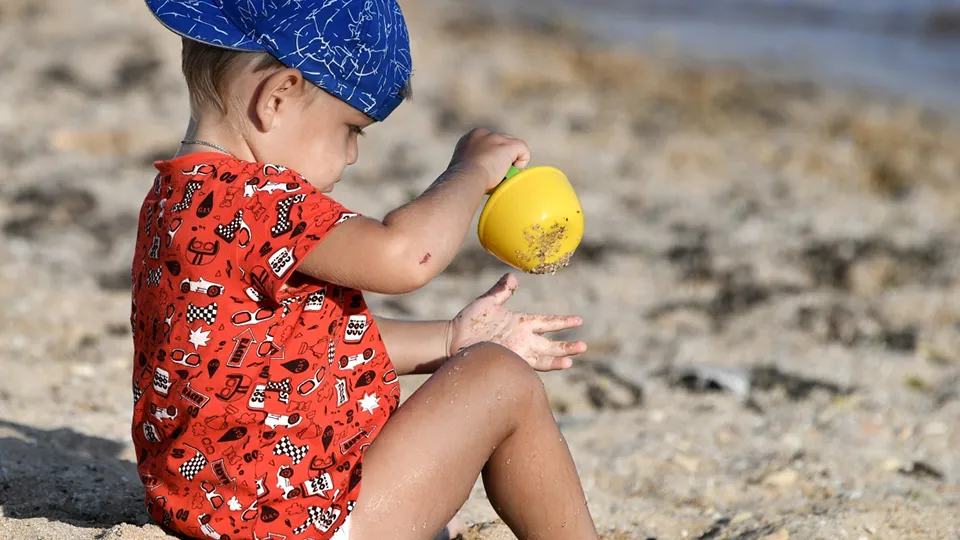 Фото: РИА Новости/Константин Михальчевский
