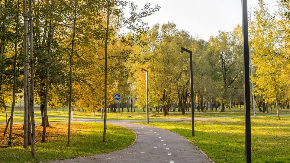 Фото: Медиаархив Подмосковья