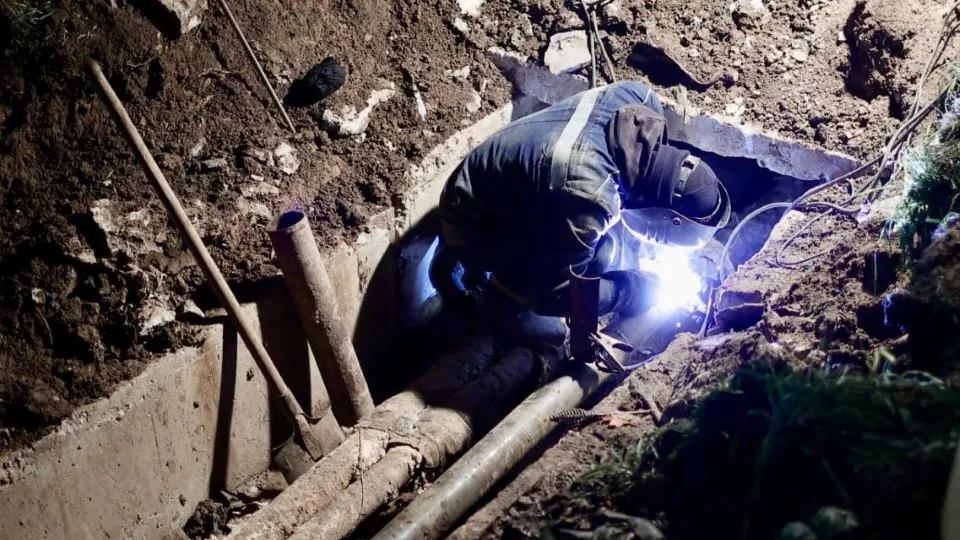 Фото: telegram/Собакин Official