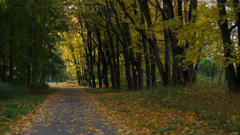 Фото: t.me/parkikrasnogorska_official