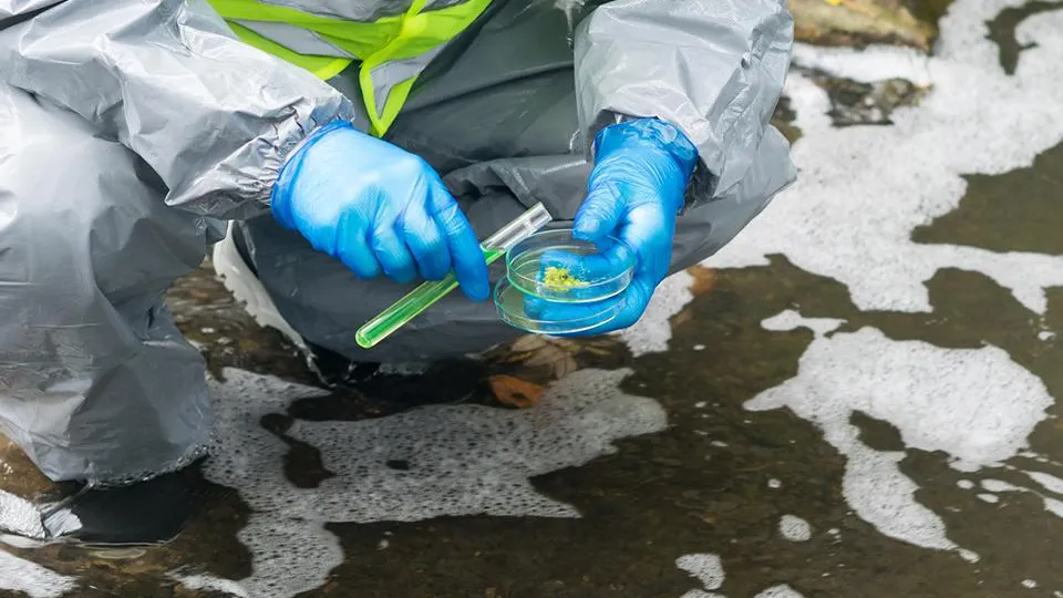 Фото: istockphoto.com/Kurgu128