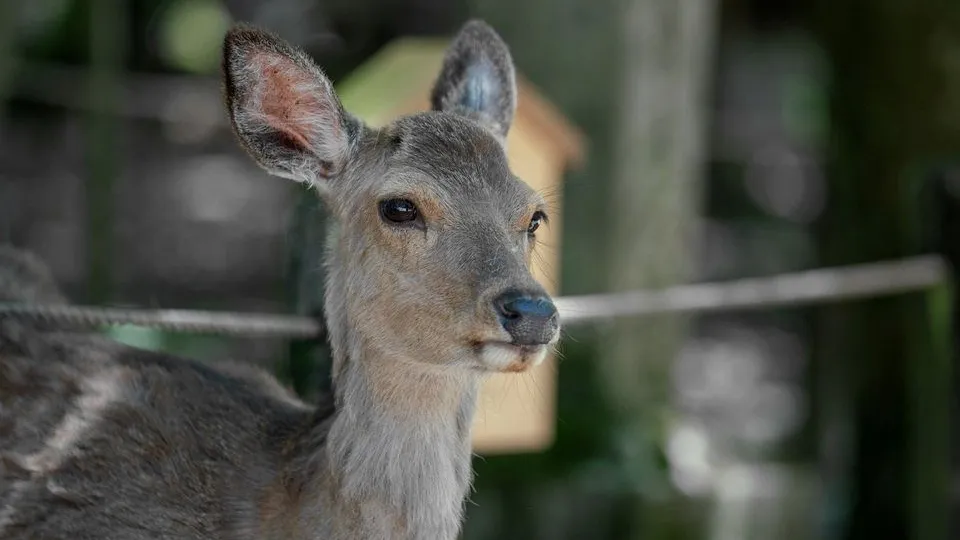 Фото: unsplash.com