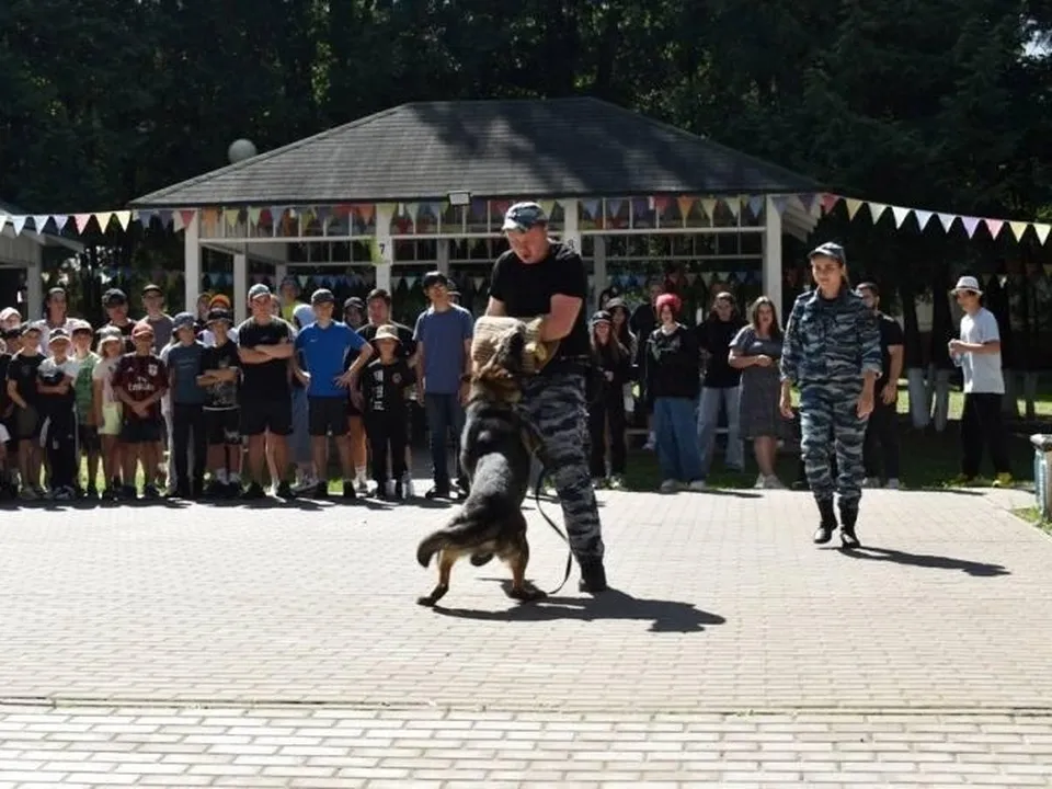 Фото: пресс-служба администрации г. о. Подольск