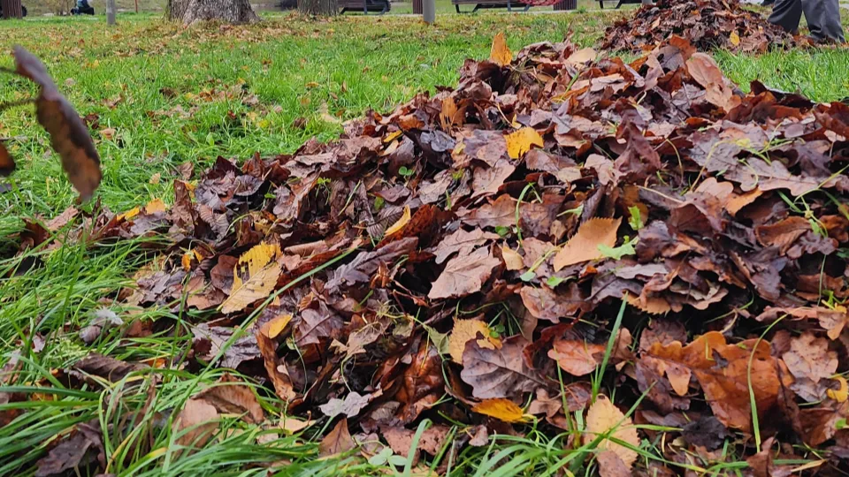 Фото: МедиаБанк Подмосковья/Юлия Смагринская