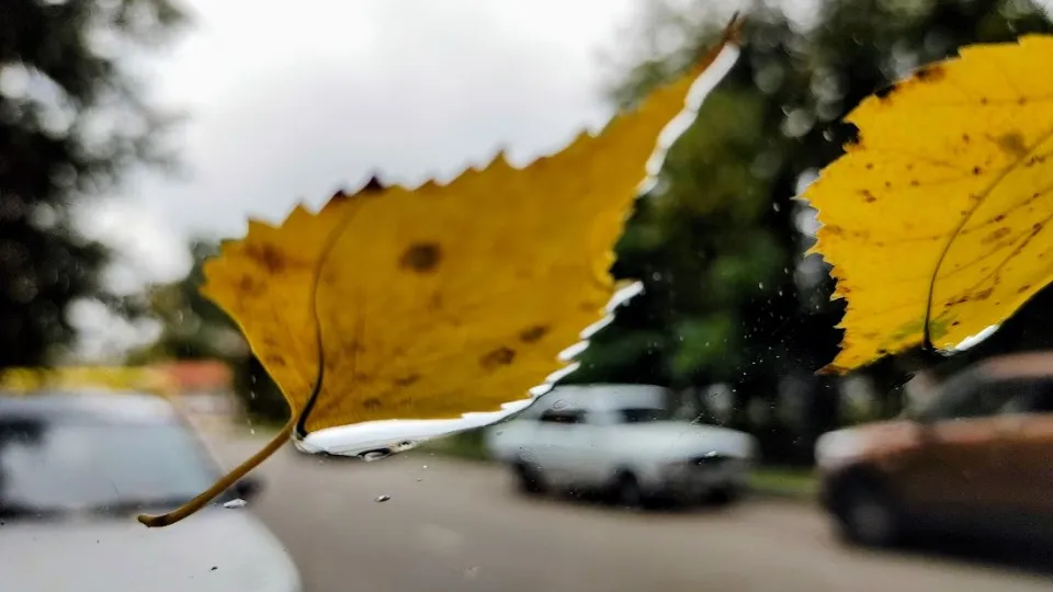 Фото: REGIONS/Алексей Селиверстов