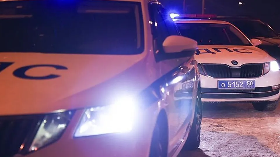 Фото: МедиаБанк Подмосковья/Ольга Антонова