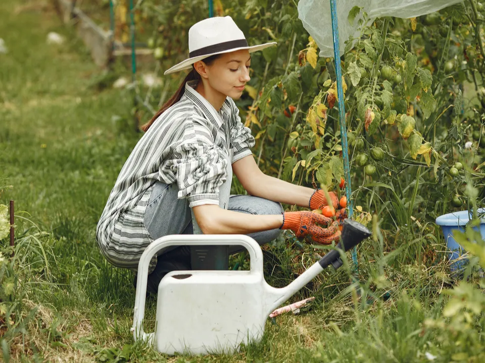 Фото: freepik.com