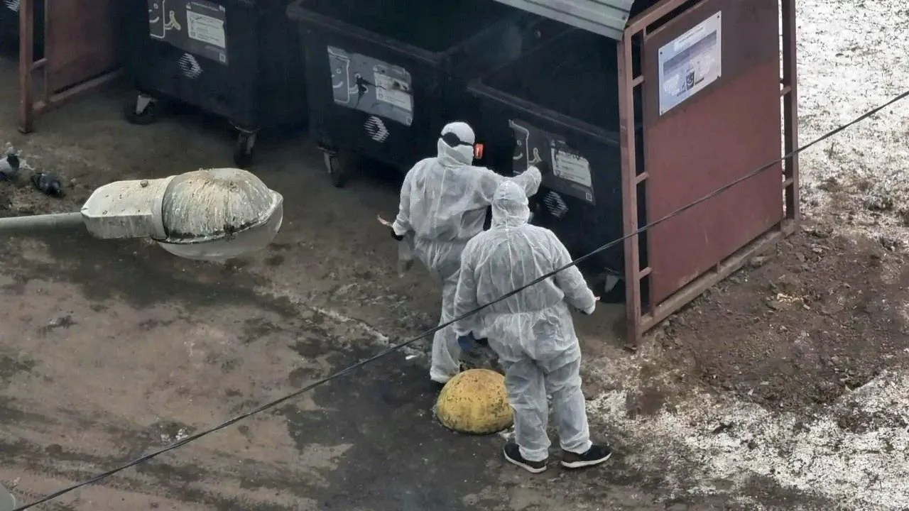 REGIONS/Юлия Алабина