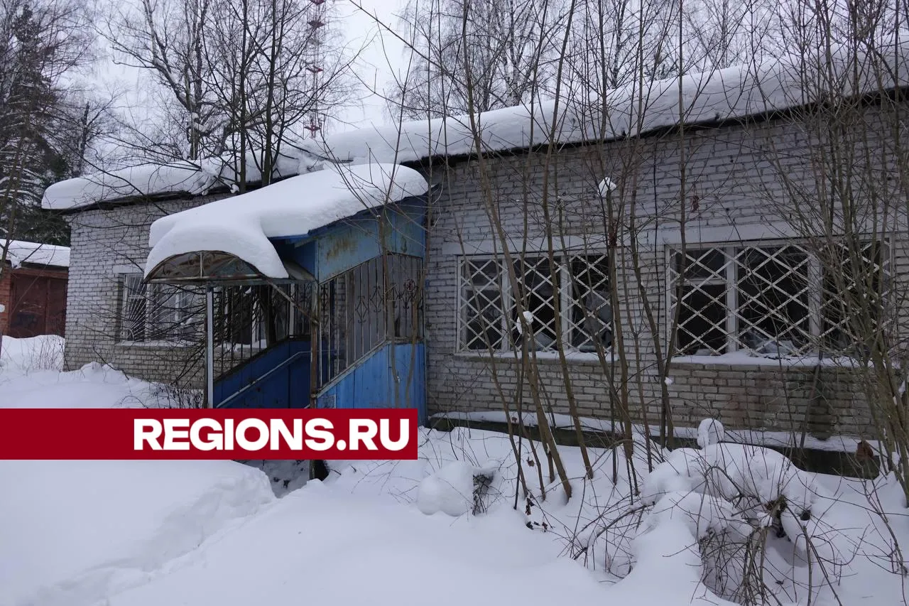 Фото: Дарья Леонова