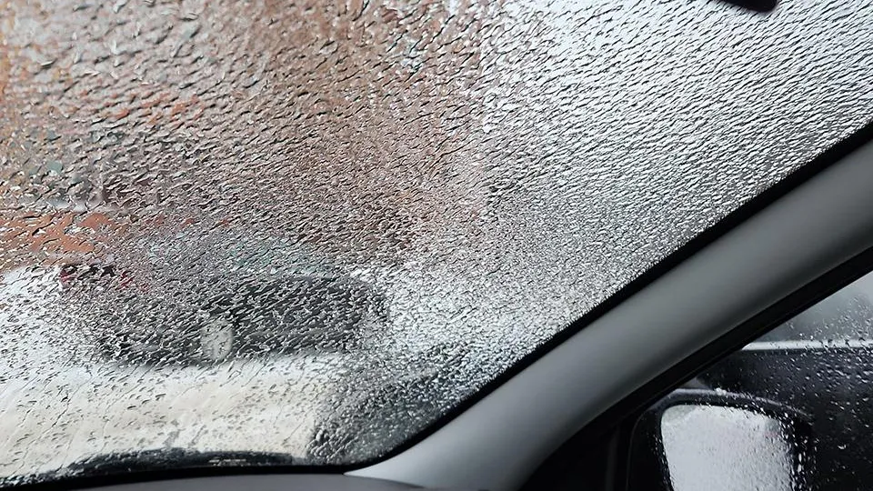 Фото: МедиаБанк Подмосковья/Нина Басистая