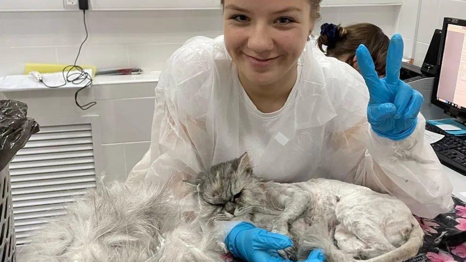 Фото: Коломенский аграрный колледж имени Н.Т. Козлова