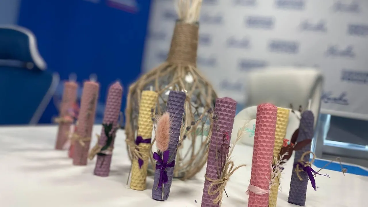 Фото: пресс-служба администрации г.о. Химки