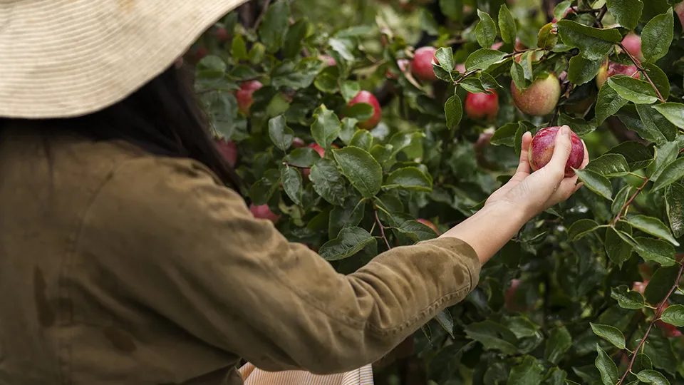 Фото: freepik.com