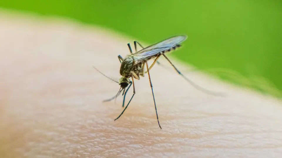 Фото: istockphoto.com