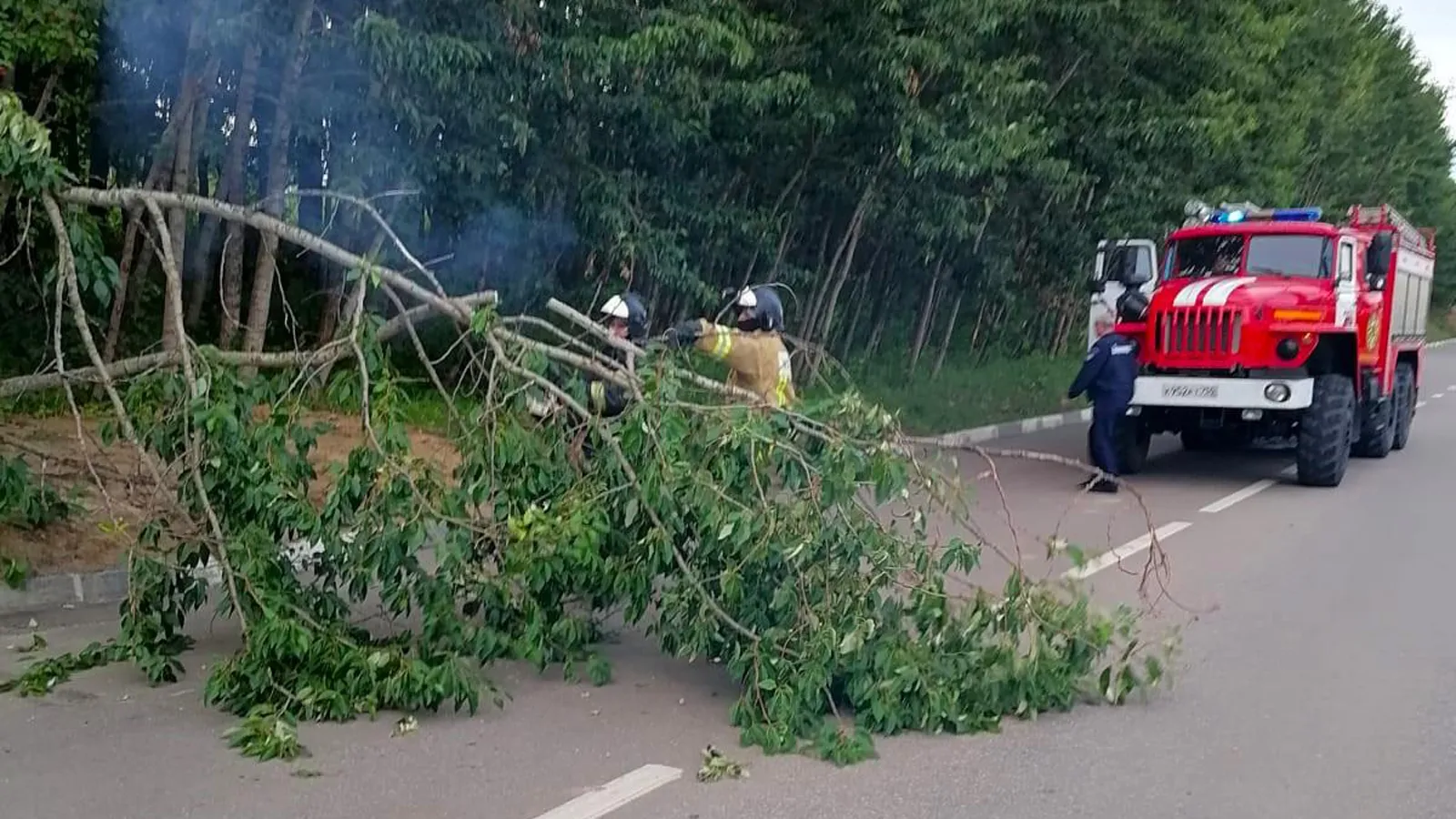 Фото: ГКУ МО «Мособлпожспас»