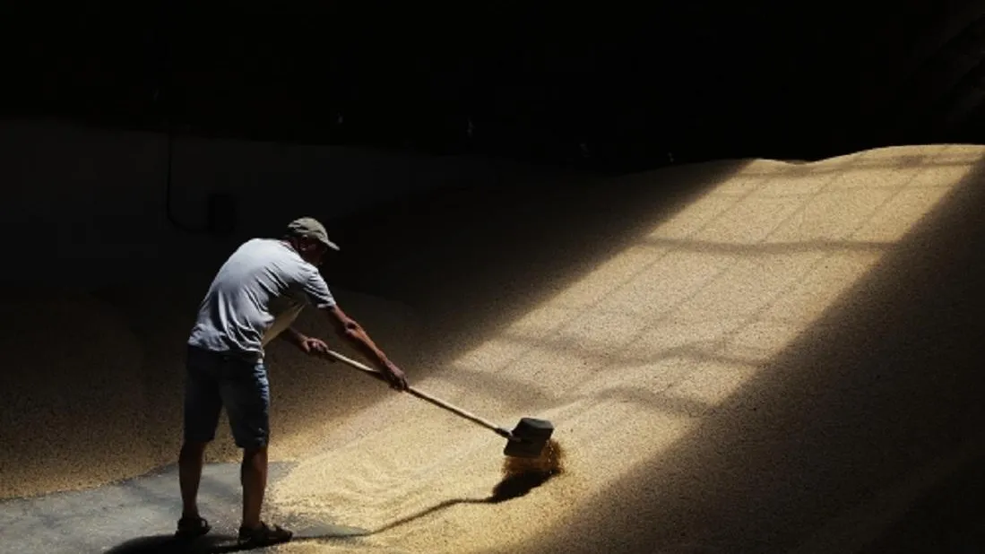 Европа опасается конкуренции со стороны России для украинского зерна