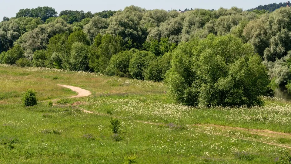 Фото: медиасток.рф