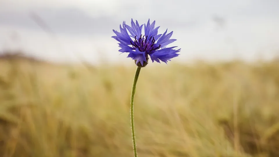 Фото: unsplash.com