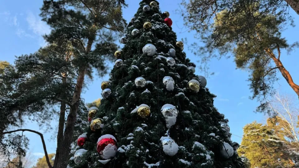 Фото: администрация г.о. Красногорск