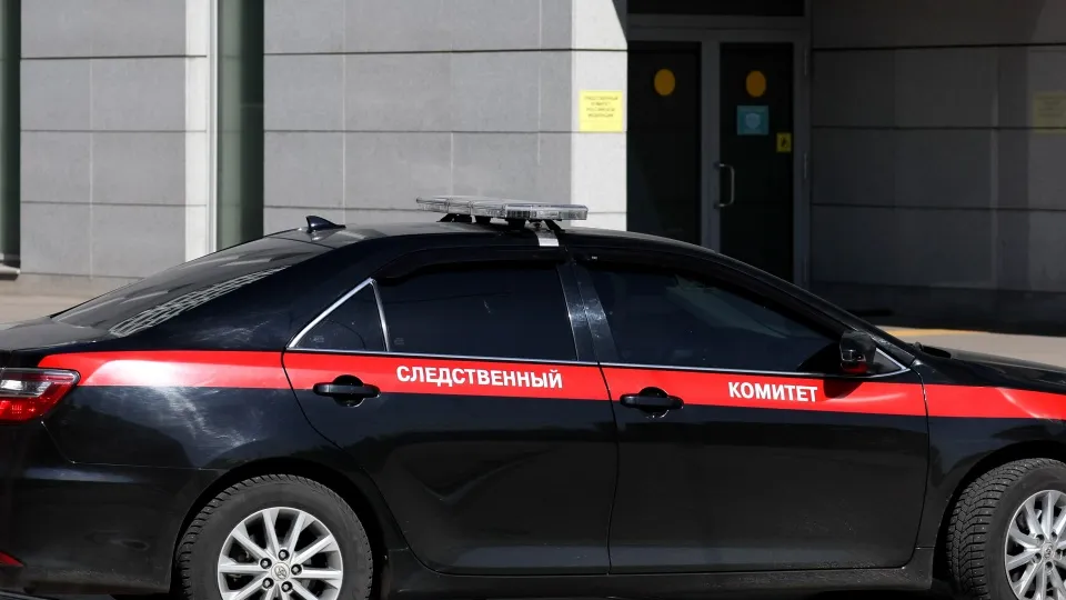 Фото: ТАСС/Сергей Бобылев