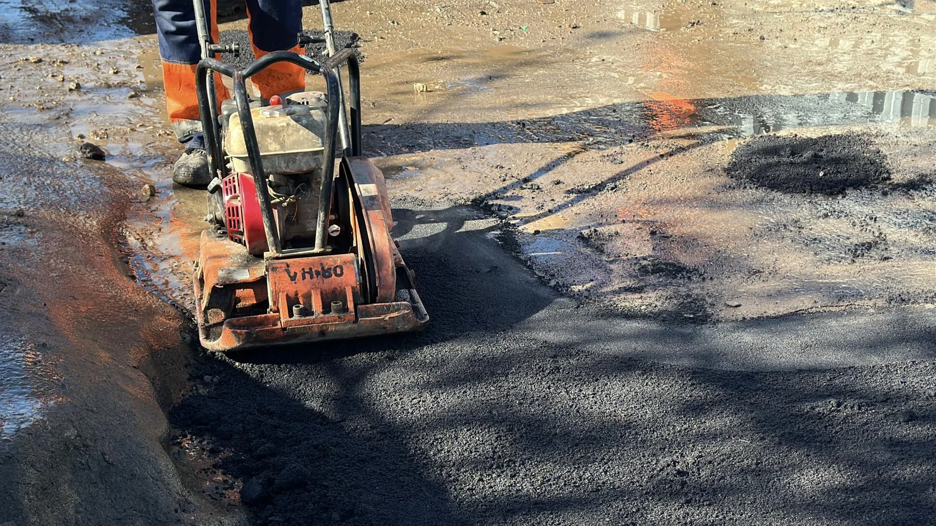 REGIONS/Кристина Тришина