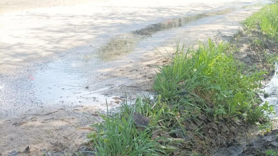 Фото: соцсети