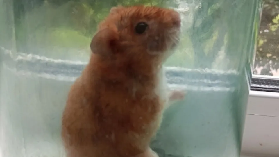 Фото: vk.com/Подслушано Руза