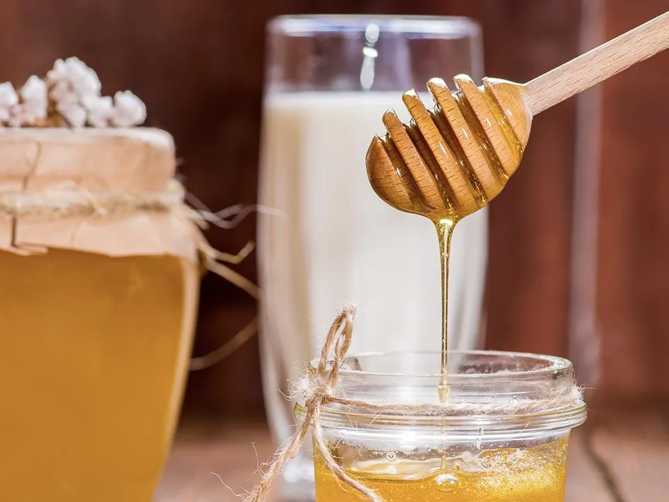 Виски с медом при простуде: возможно ли вылечиться за 24 часа?