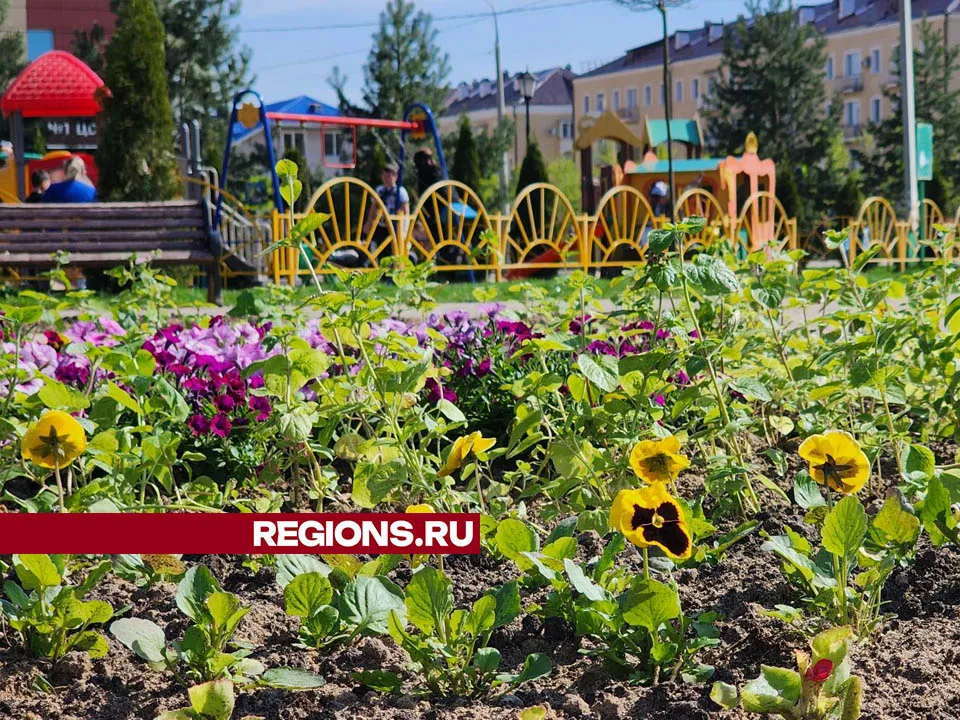 Фото: Валерия Тингаева