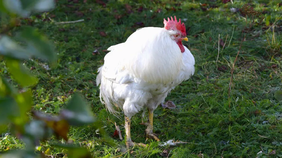 Фото: администрация Дмитровского муниципального округа