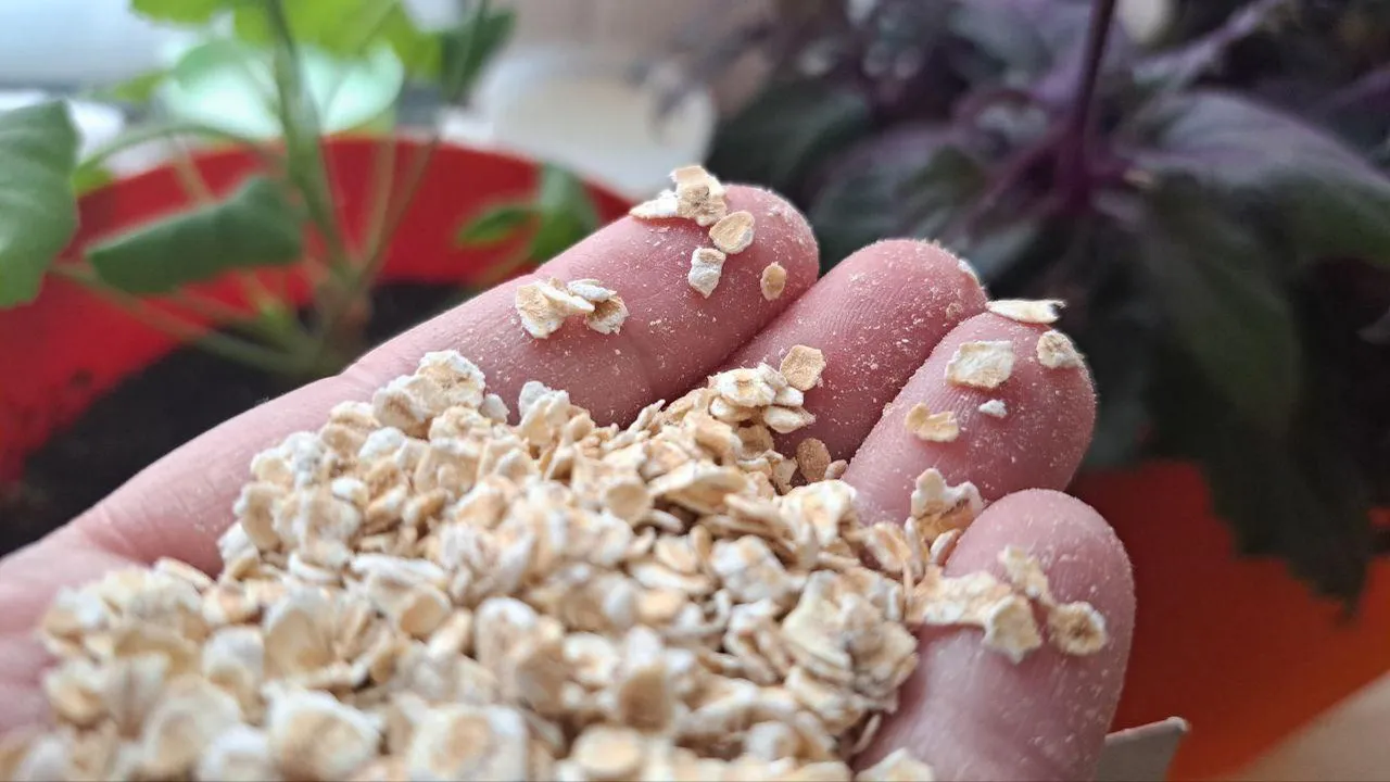 REGIONS/Татьяна Замятина