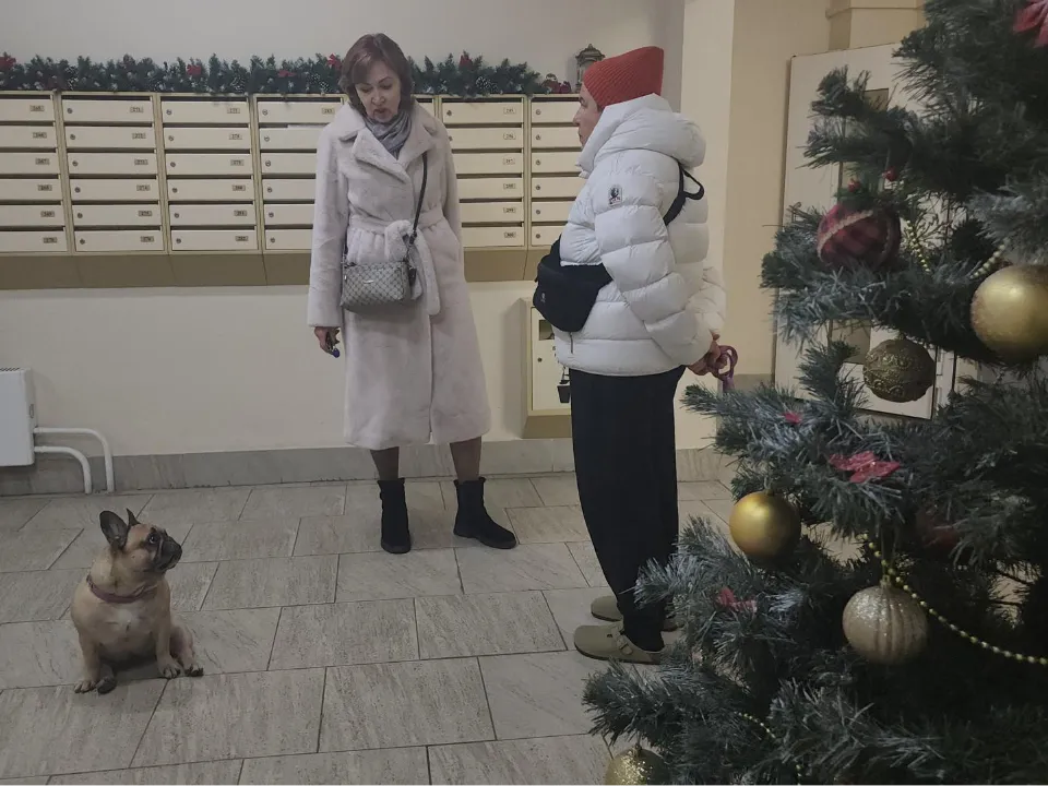 Фото: МедиаБанк Подмосковья/Наталья Лымарь