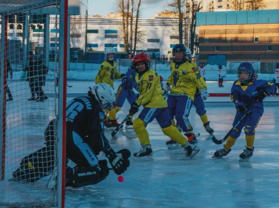 Фото: пресс-служба администрации г.о. Красногорск