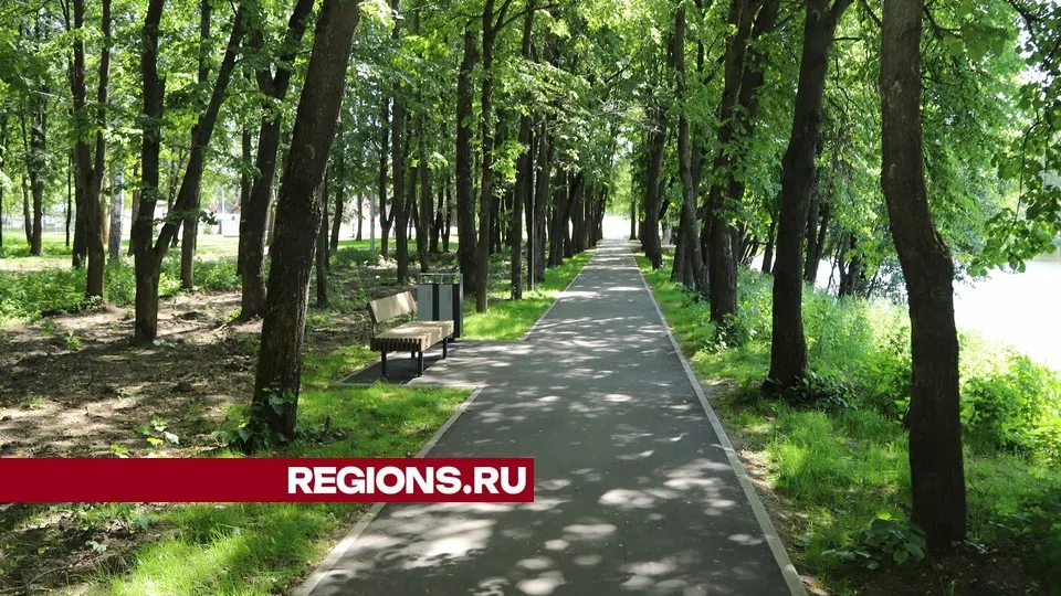 Фото: Александр Дрожжин