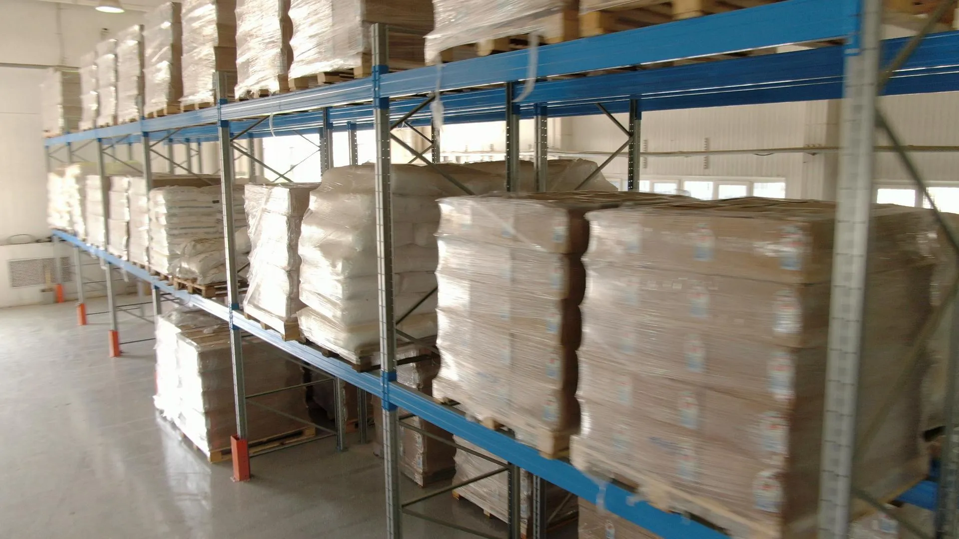 Ксения Борцова