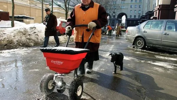 Дмитрий Коробейников / РИА Новости