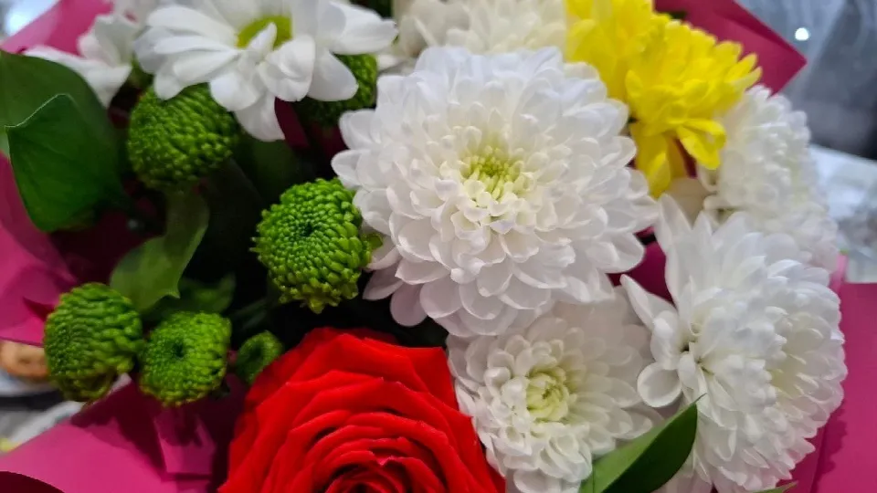 Фото: Юлия Габбасова