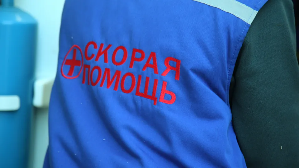 Фото: Медиаархив Подмосковья