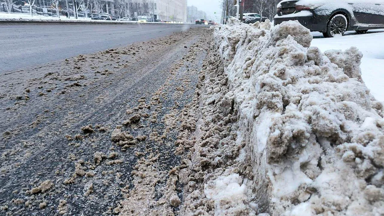 REGIONS/Роман Малышенко